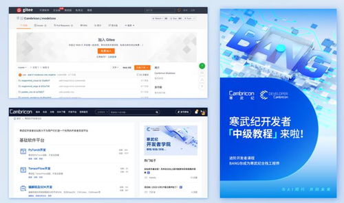 賦能創(chuàng)新 寒武紀(jì)多維度技術(shù)支撐，驅(qū)動(dòng)開(kāi)發(fā)者能力躍升與應(yīng)用軟件開(kāi)發(fā)新浪潮